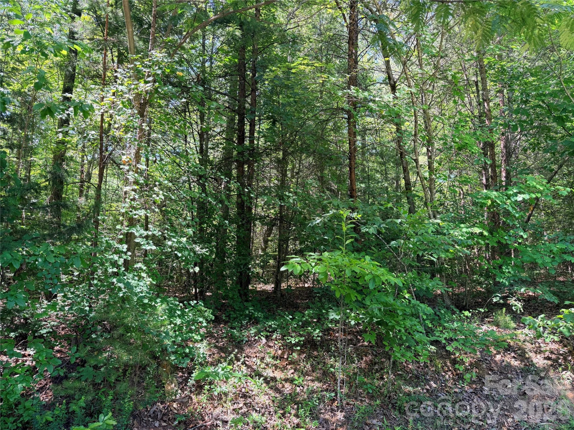 00 Grassy Knob Road #5 - Photo 9