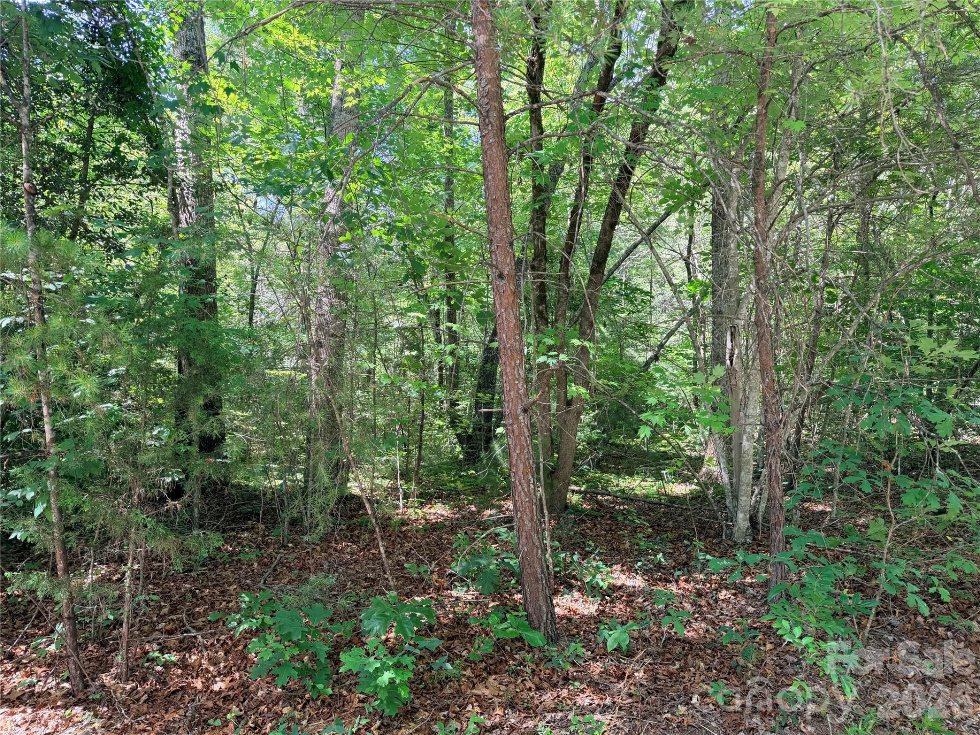 00 Grassy Knob Road #5 - Photo 10