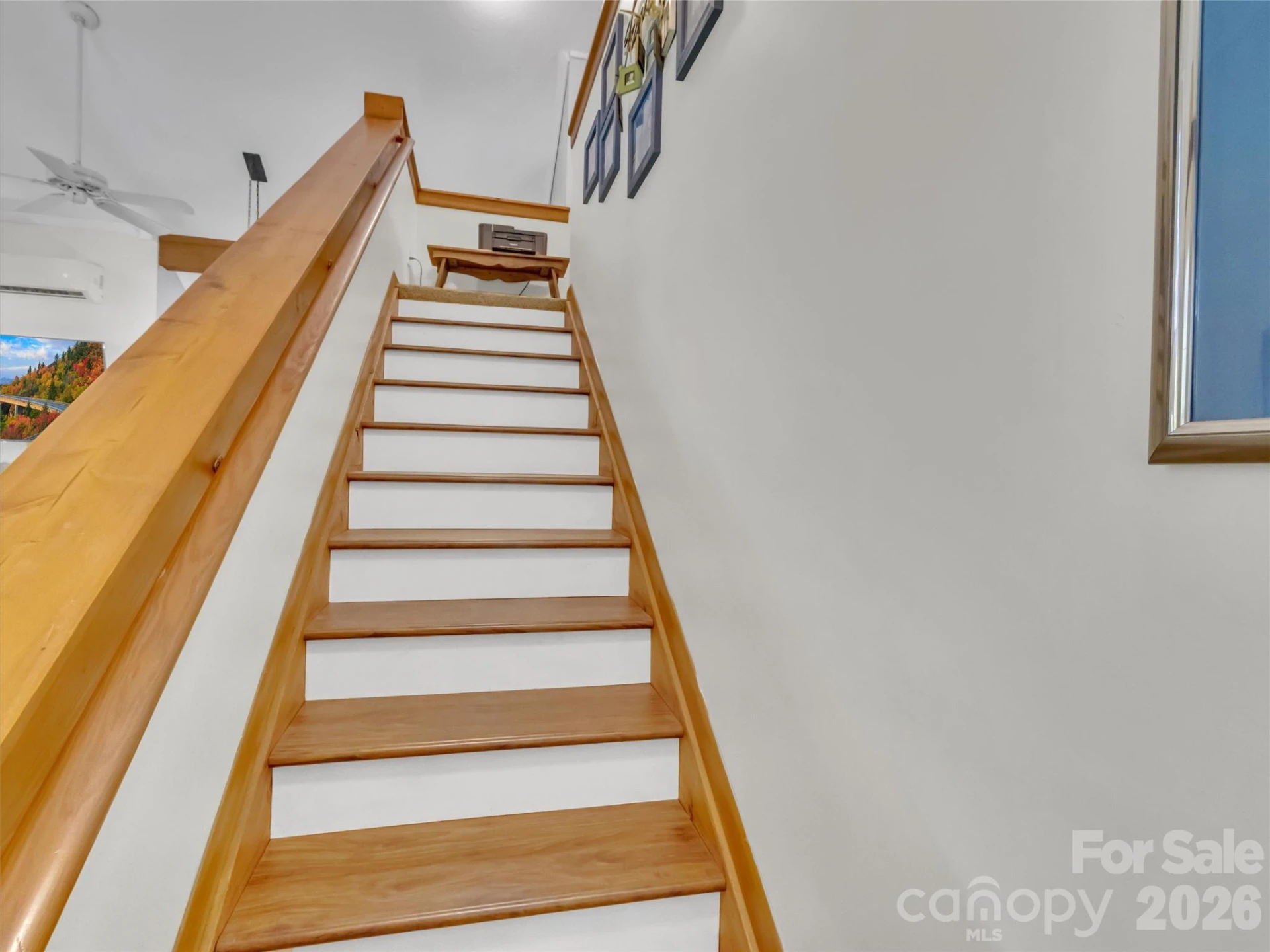 10 Bridle Drive - Photo 19