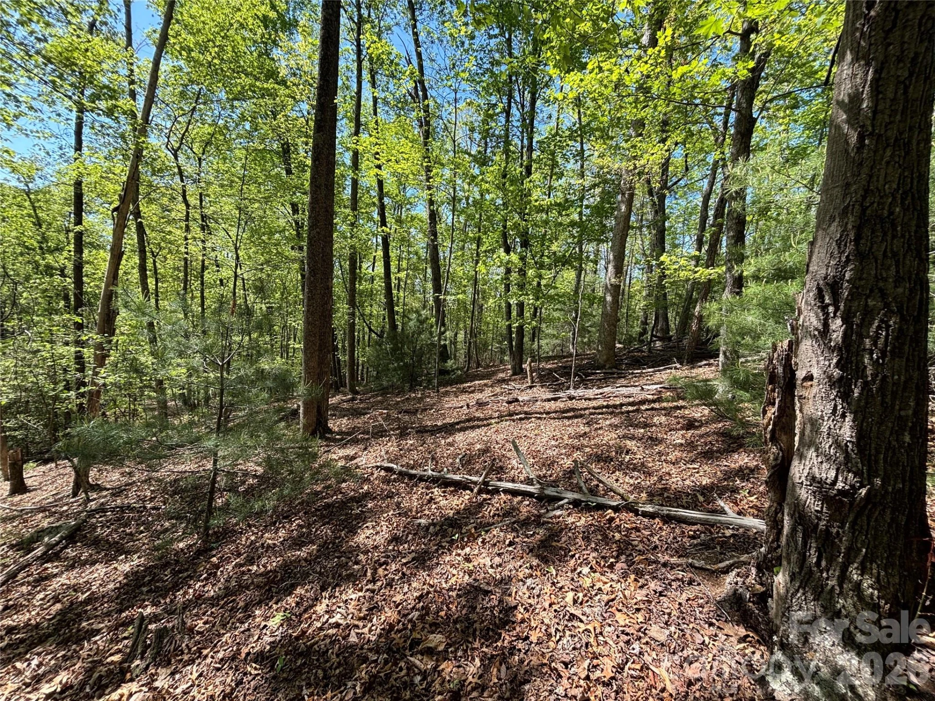 4415 Hwy 221 Highway N - Photo 11