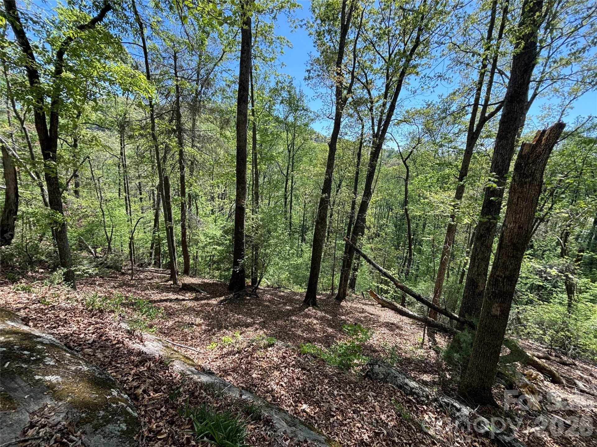 4415 Hwy 221 Highway N - Photo 12