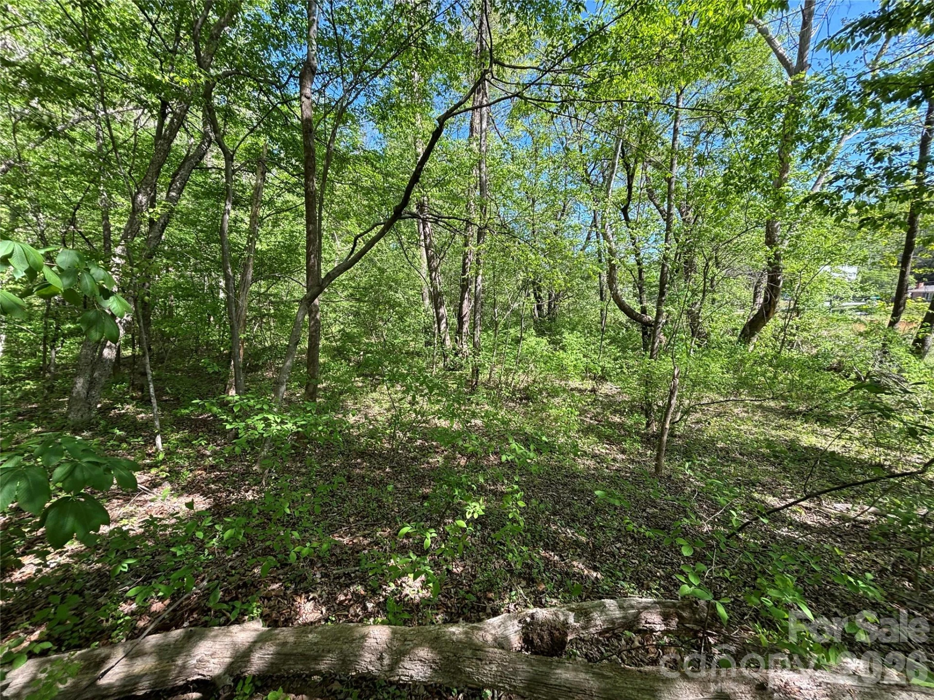 4415 Hwy 221 Highway N - Photo 13