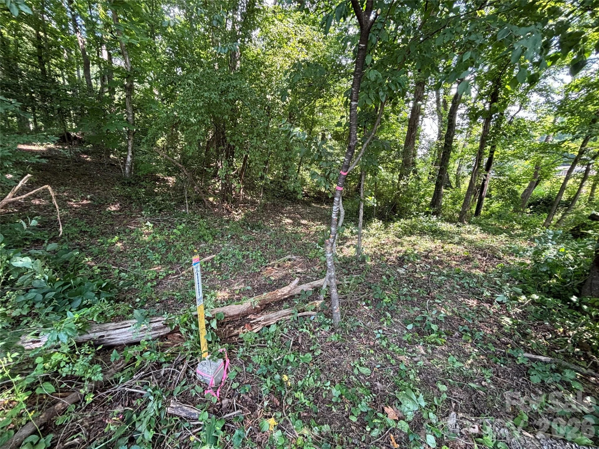 4415 Hwy 221 Highway N - Photo 18