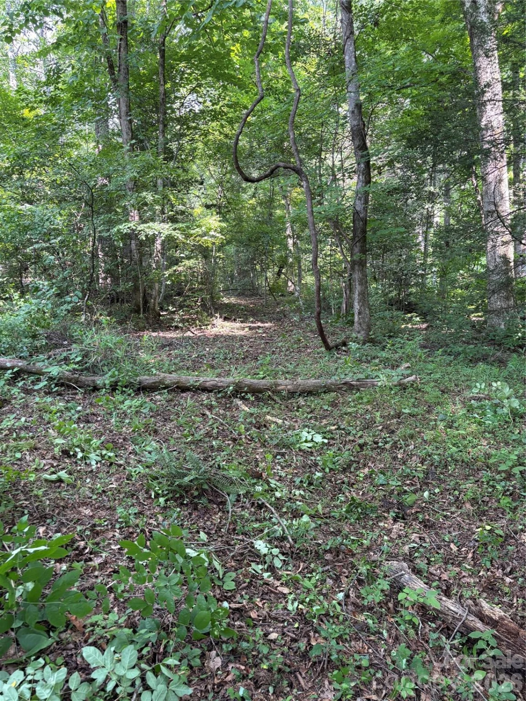 4415 Hwy 221 Highway N - Photo 19