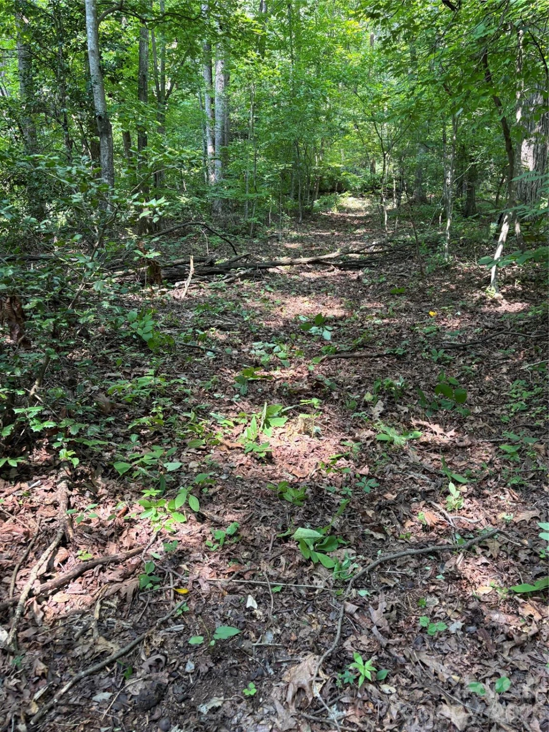 4415 Hwy 221 Highway N - Photo 20