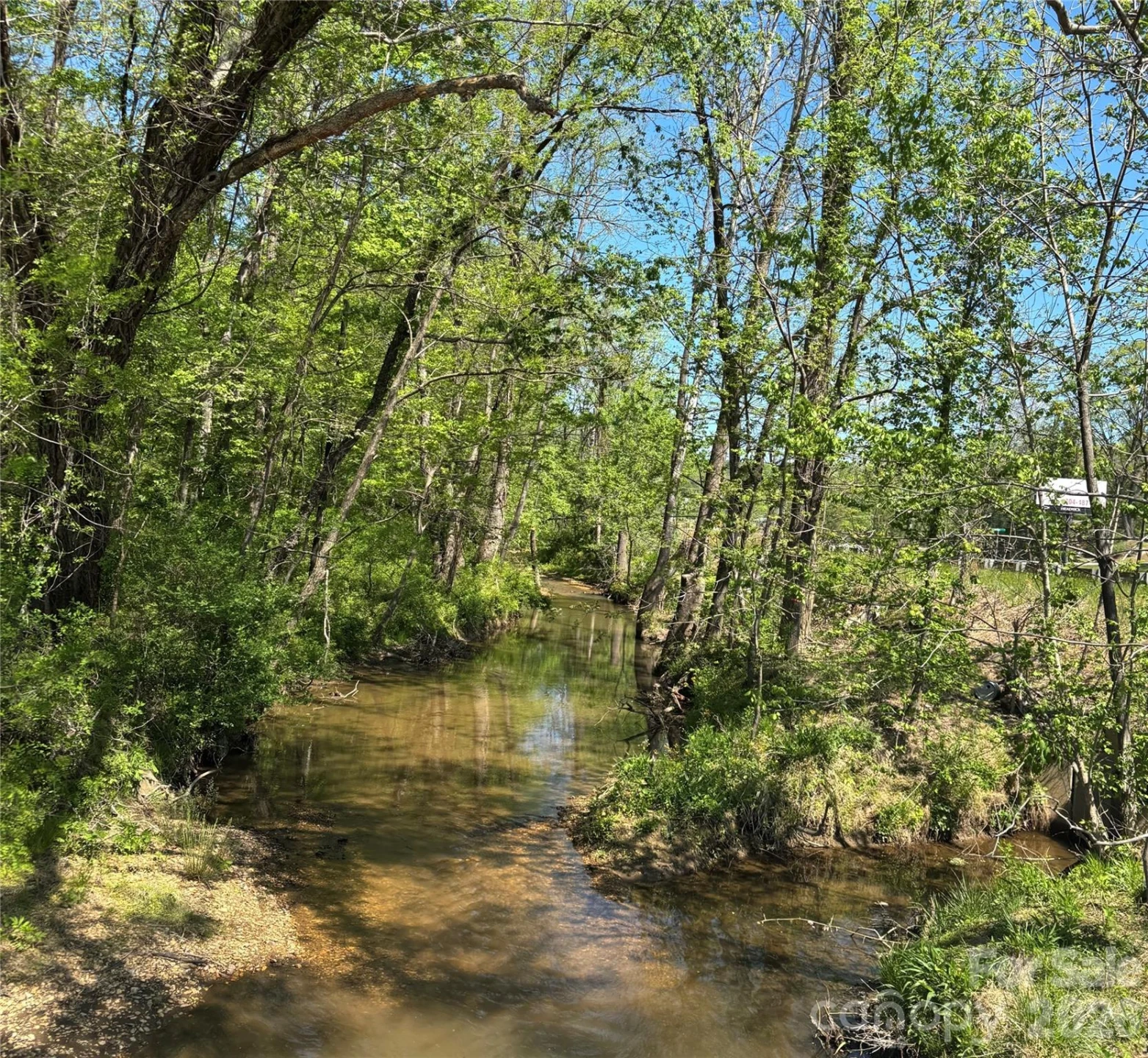4415 Hwy 221 Highway N - Photo 10