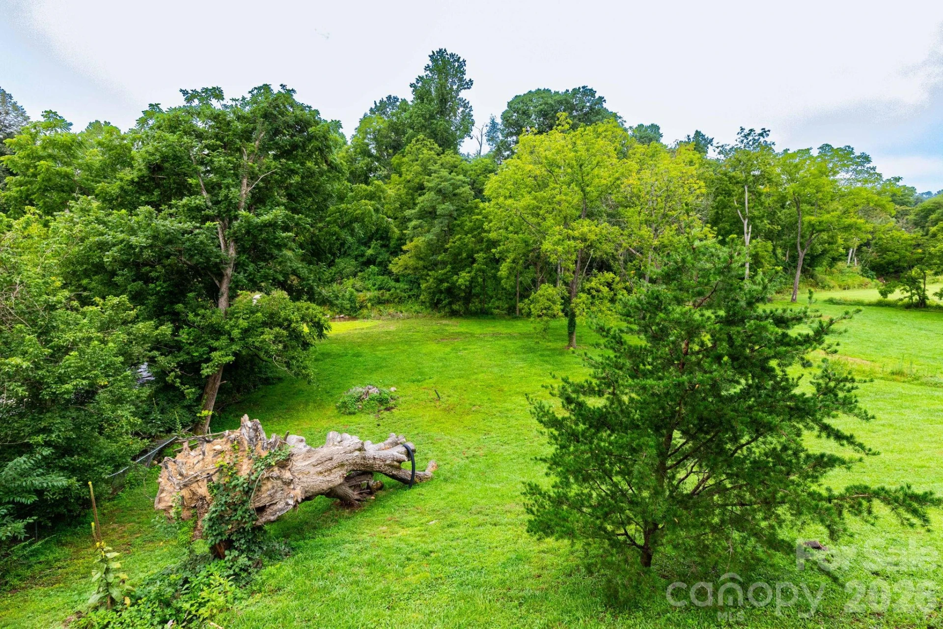 55 Banks Town Road - Photo 33