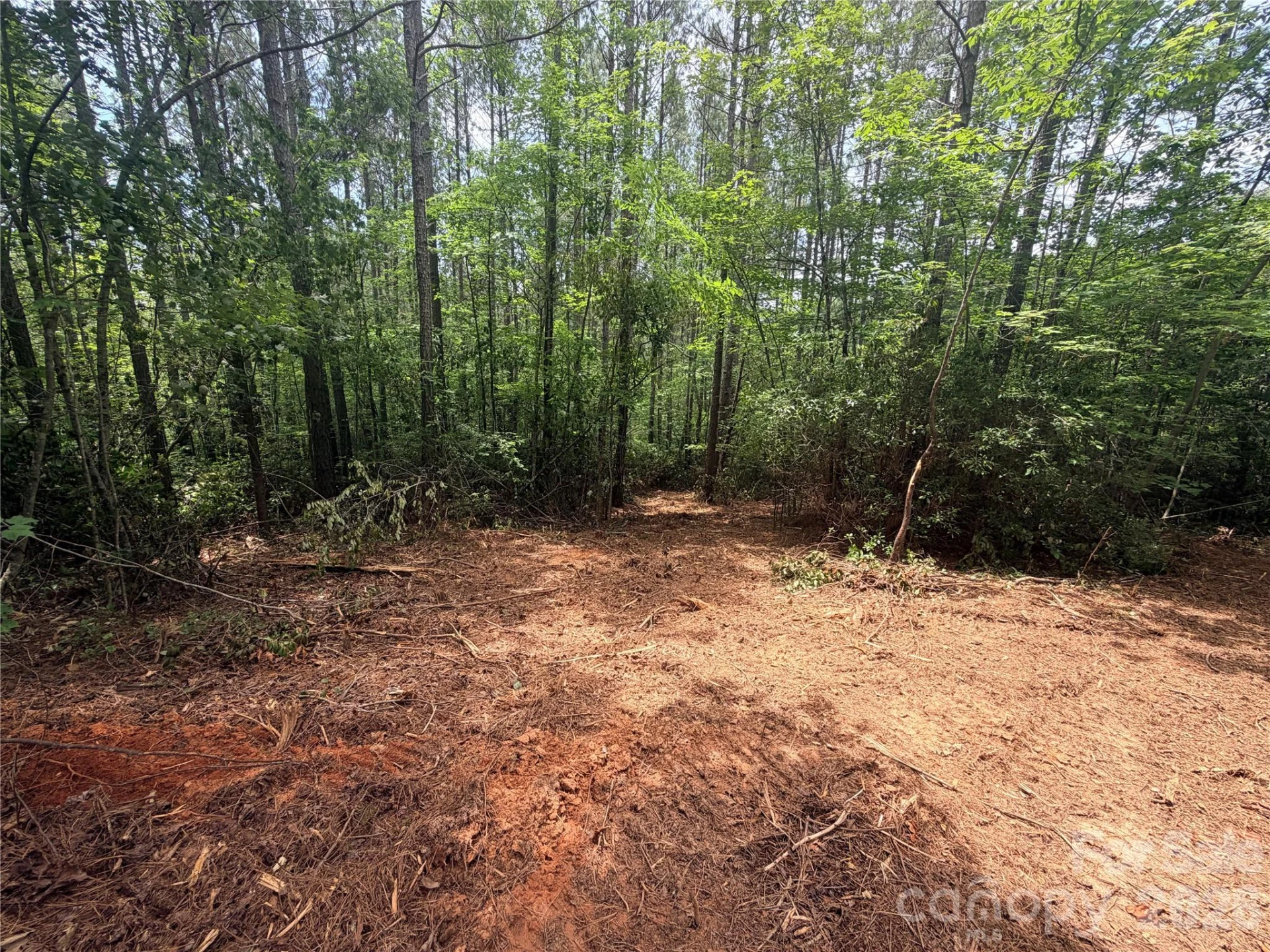 0 Gold Creek Point #4 - Photo 2