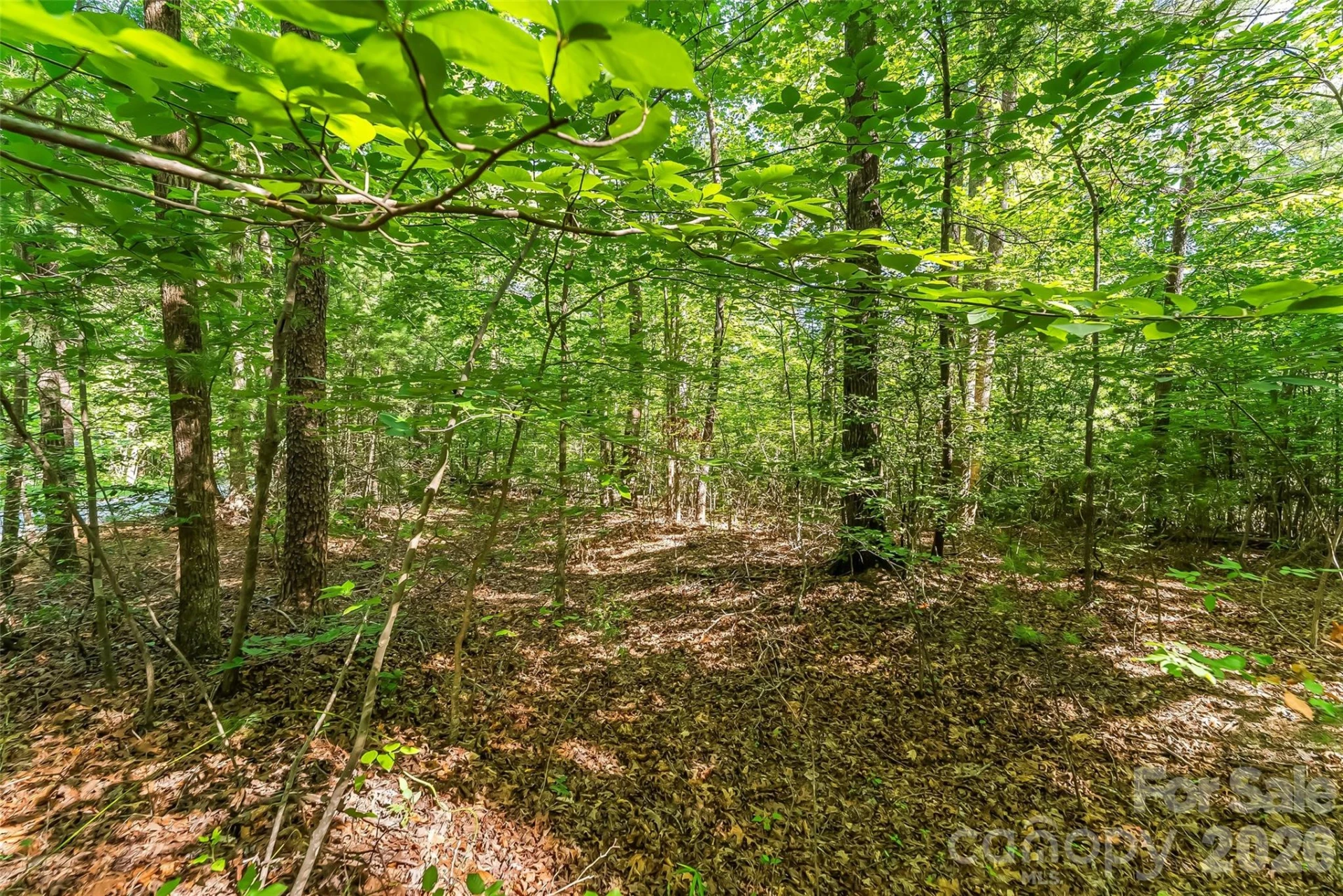 2229 Old Highway 10 Highway - Photo 10