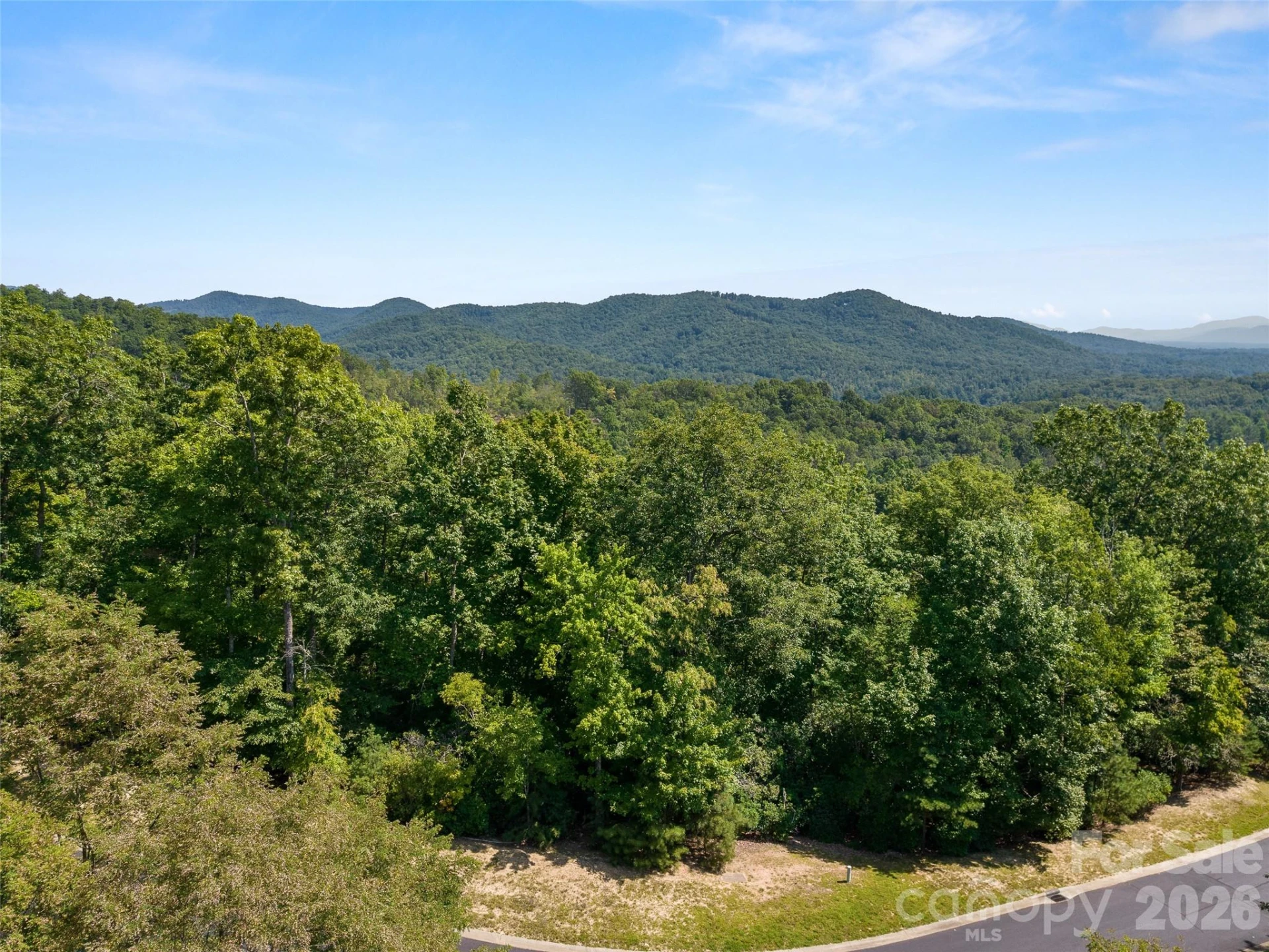 99999 Shining Rock Path #69 - Photo 3