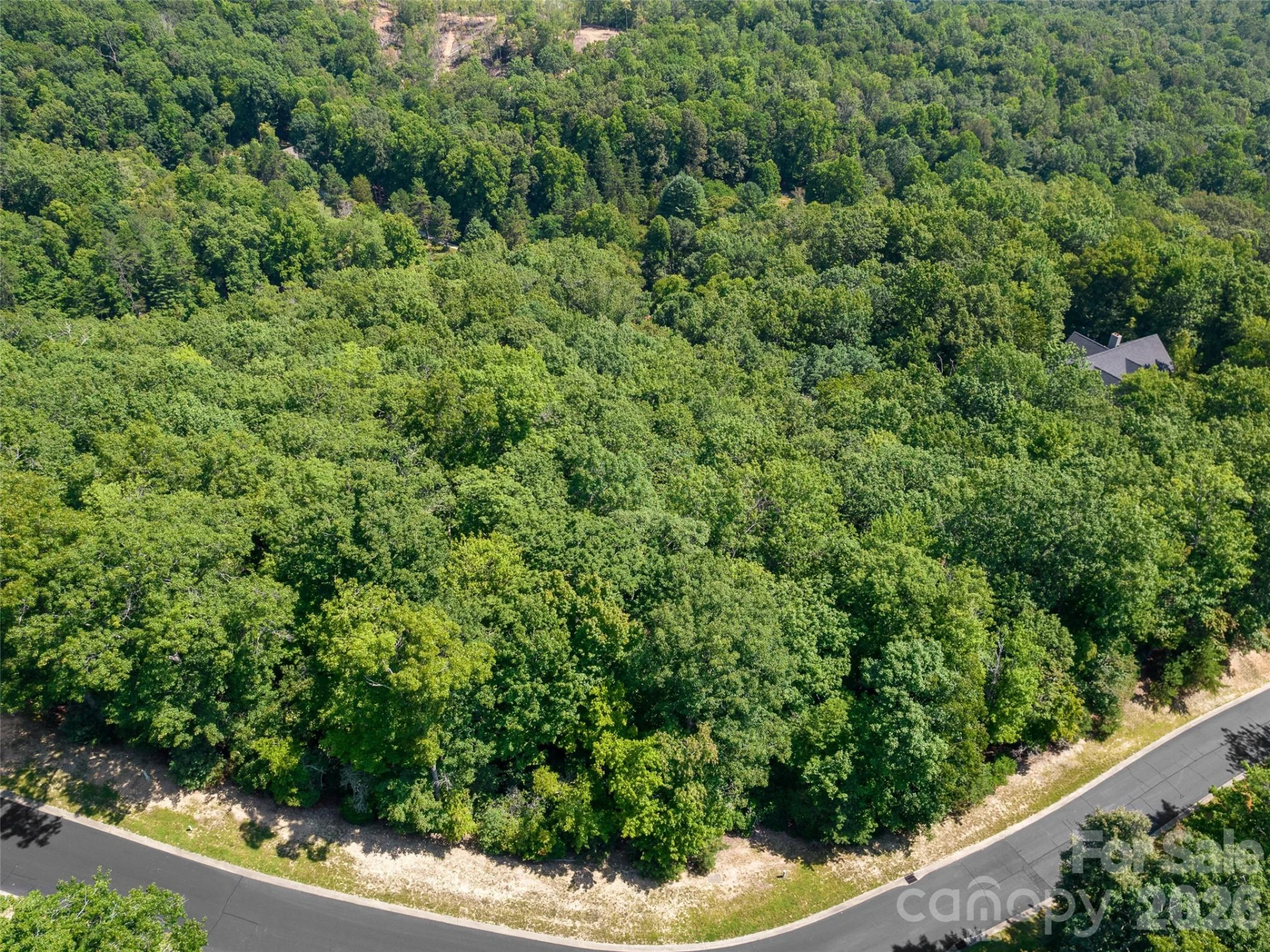 99999 Shining Rock Path #69 - Photo 4