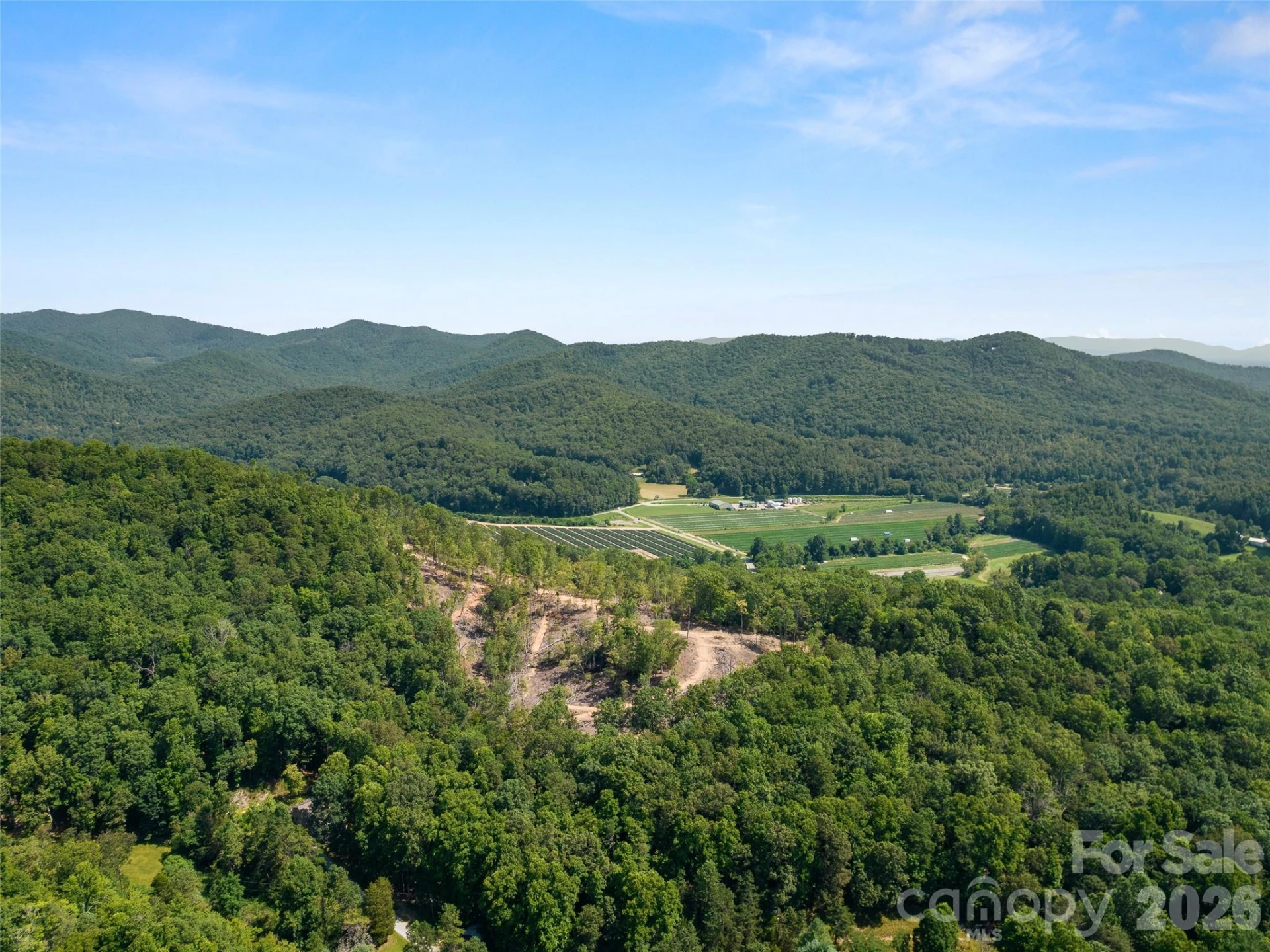 99999 Shining Rock Path #69 - Photo 5