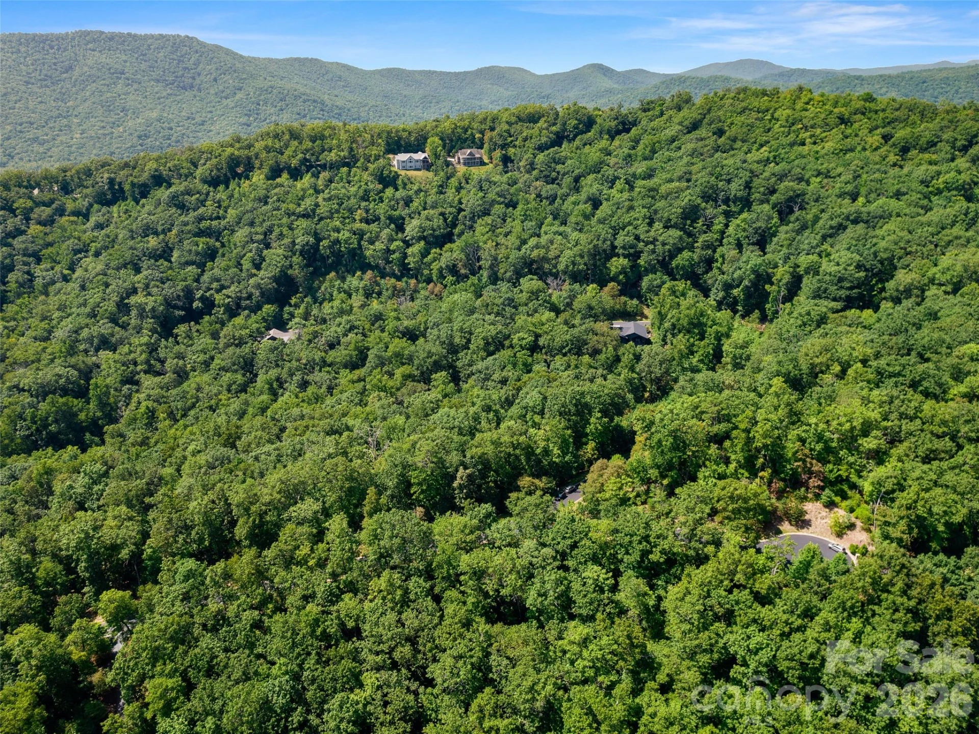 99999 Shining Rock Path #69 - Photo 6