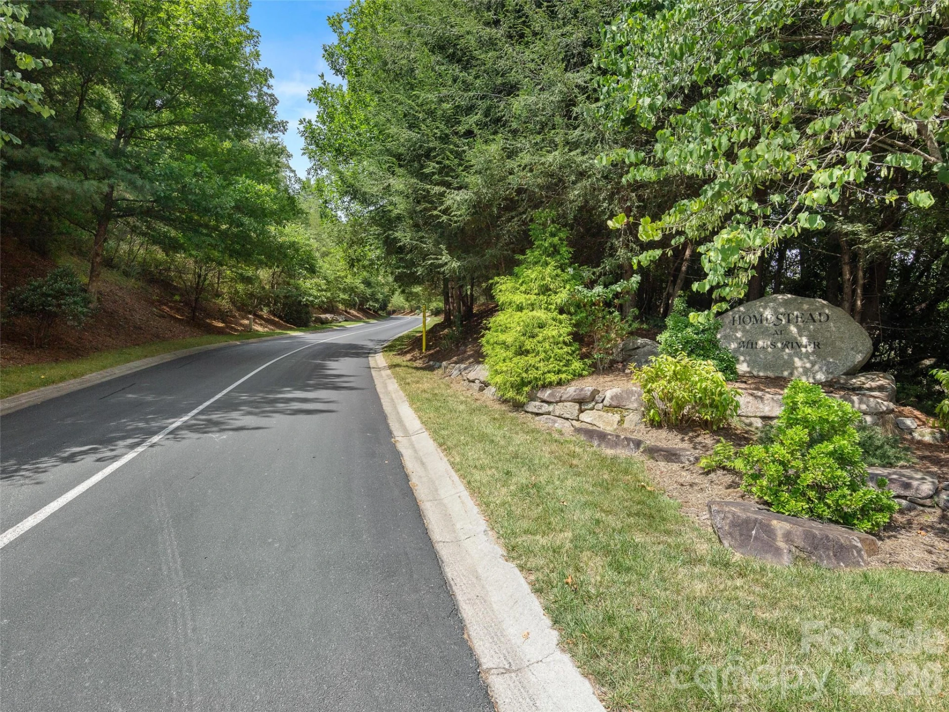 99999 Shining Rock Path #69 - Photo 8
