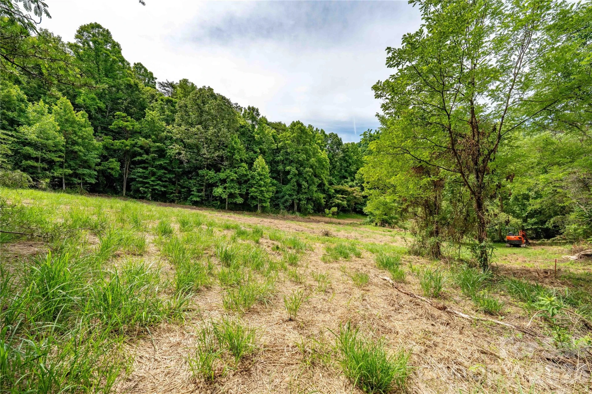 9999 Morgan Branch Road - Photo 4
