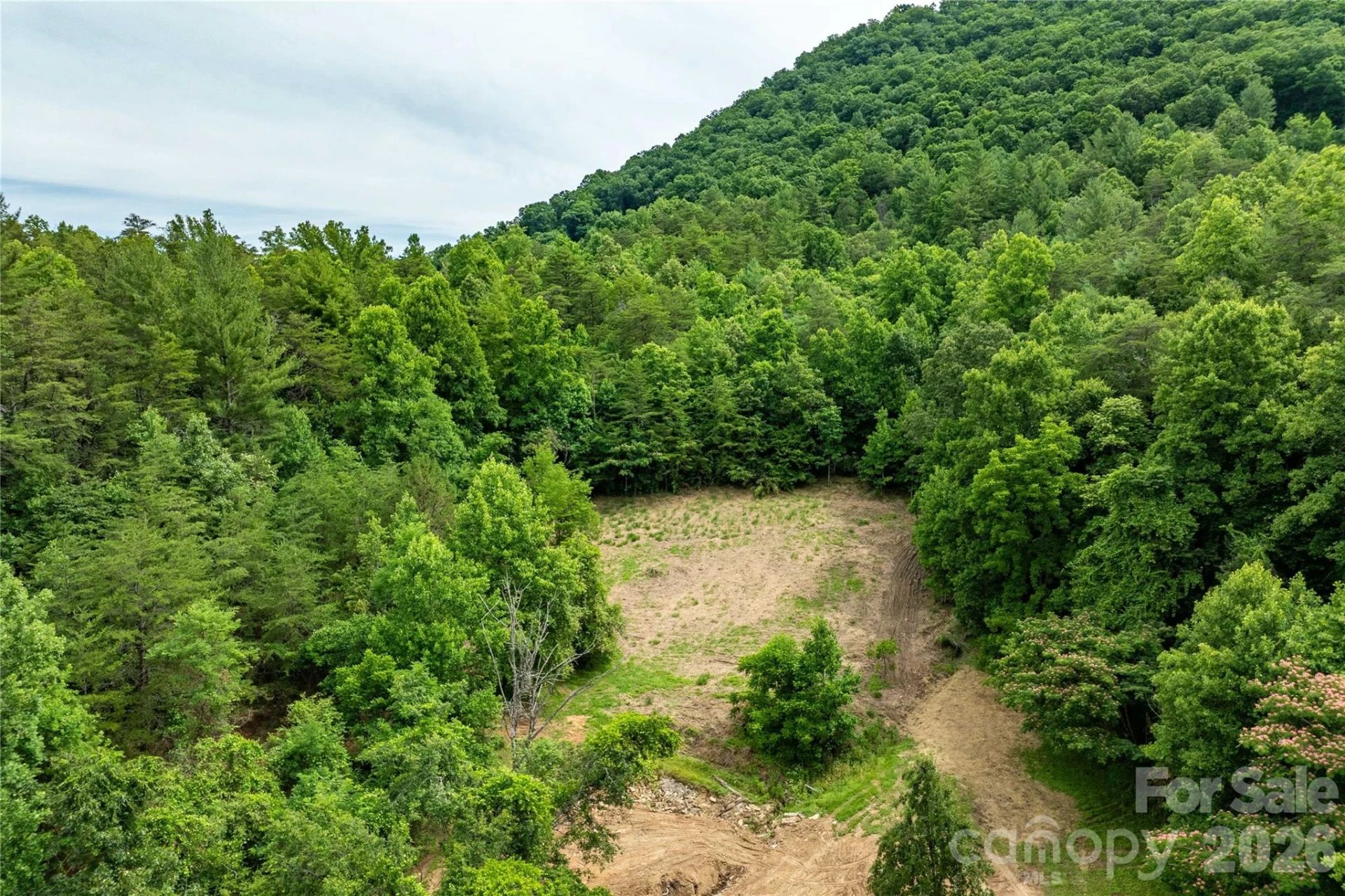 9999 Morgan Branch Road - Photo 6