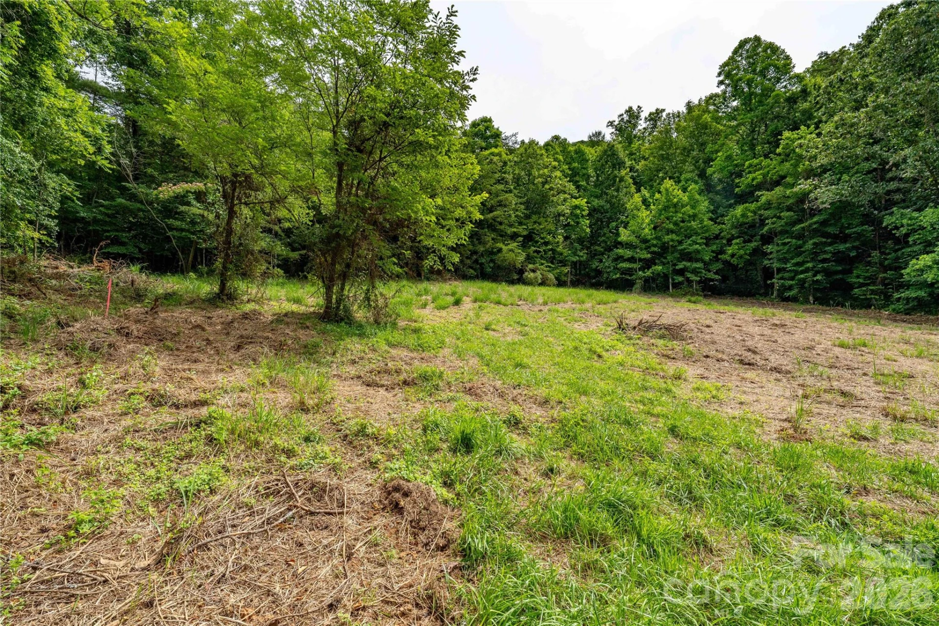 9999 Morgan Branch Road - Photo 10