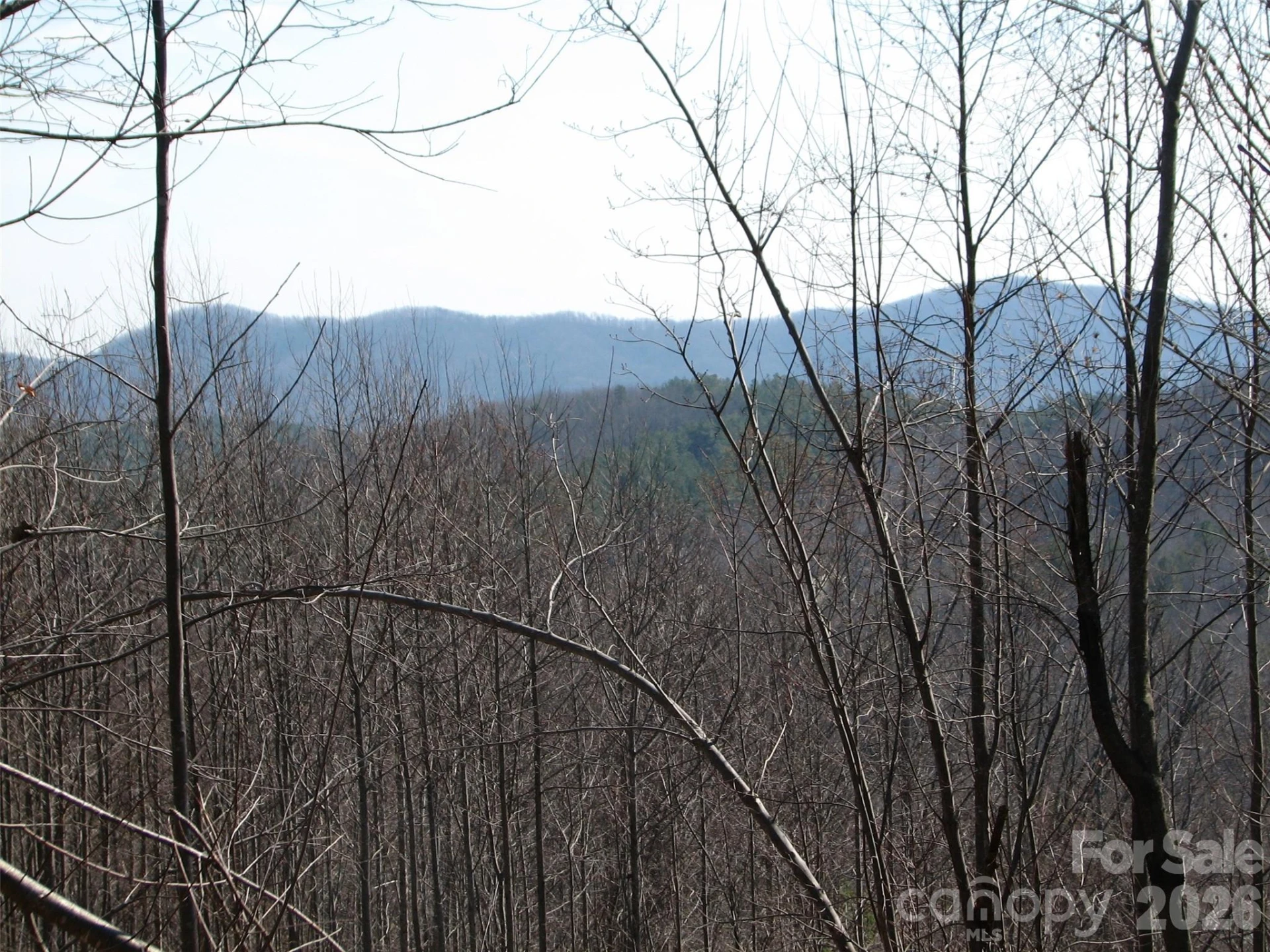 000 Meditation Ridge Ridge #21,22 - Photo 3