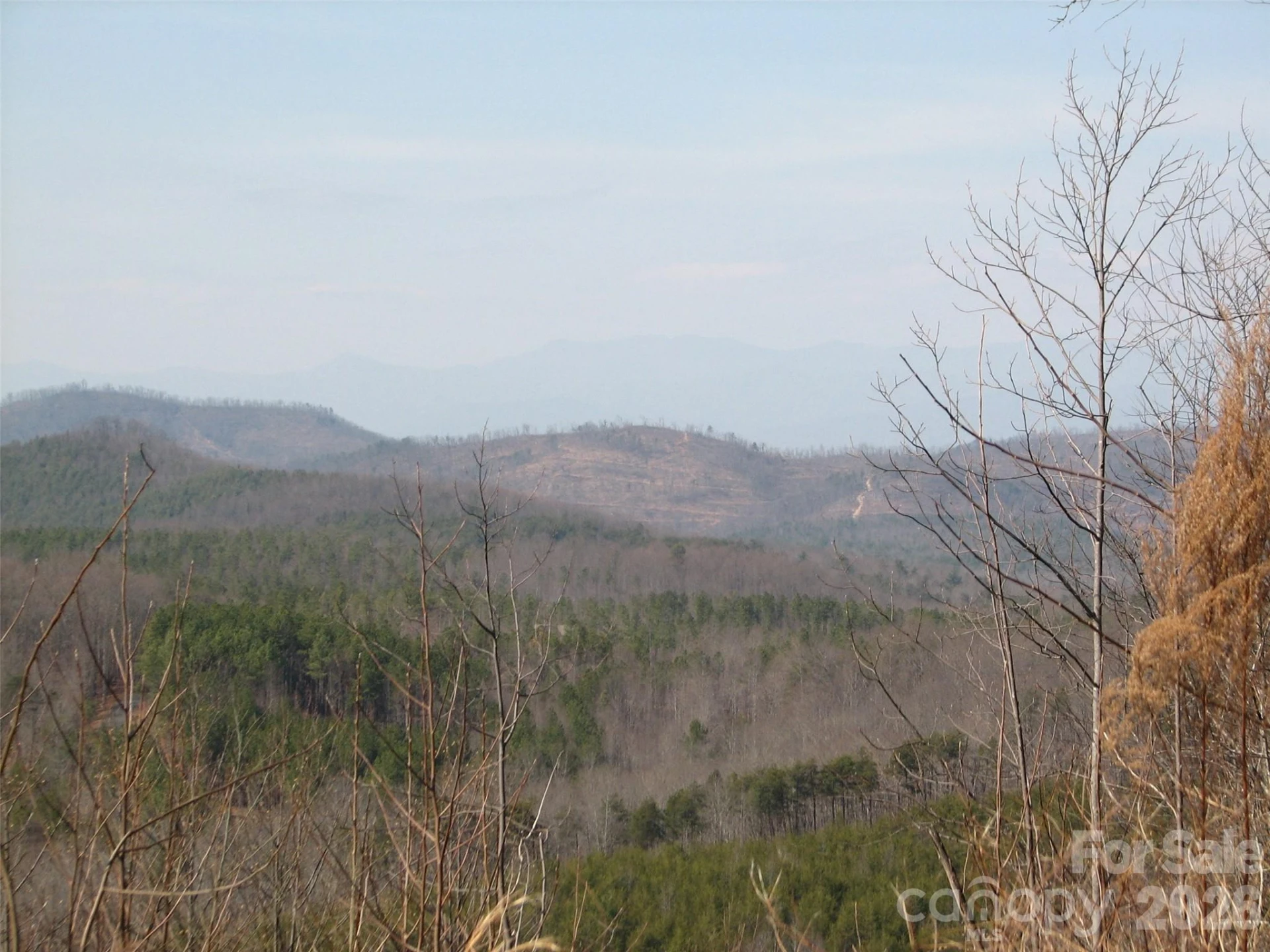 000 Meditation Ridge Ridge #21,22 - Photo 4