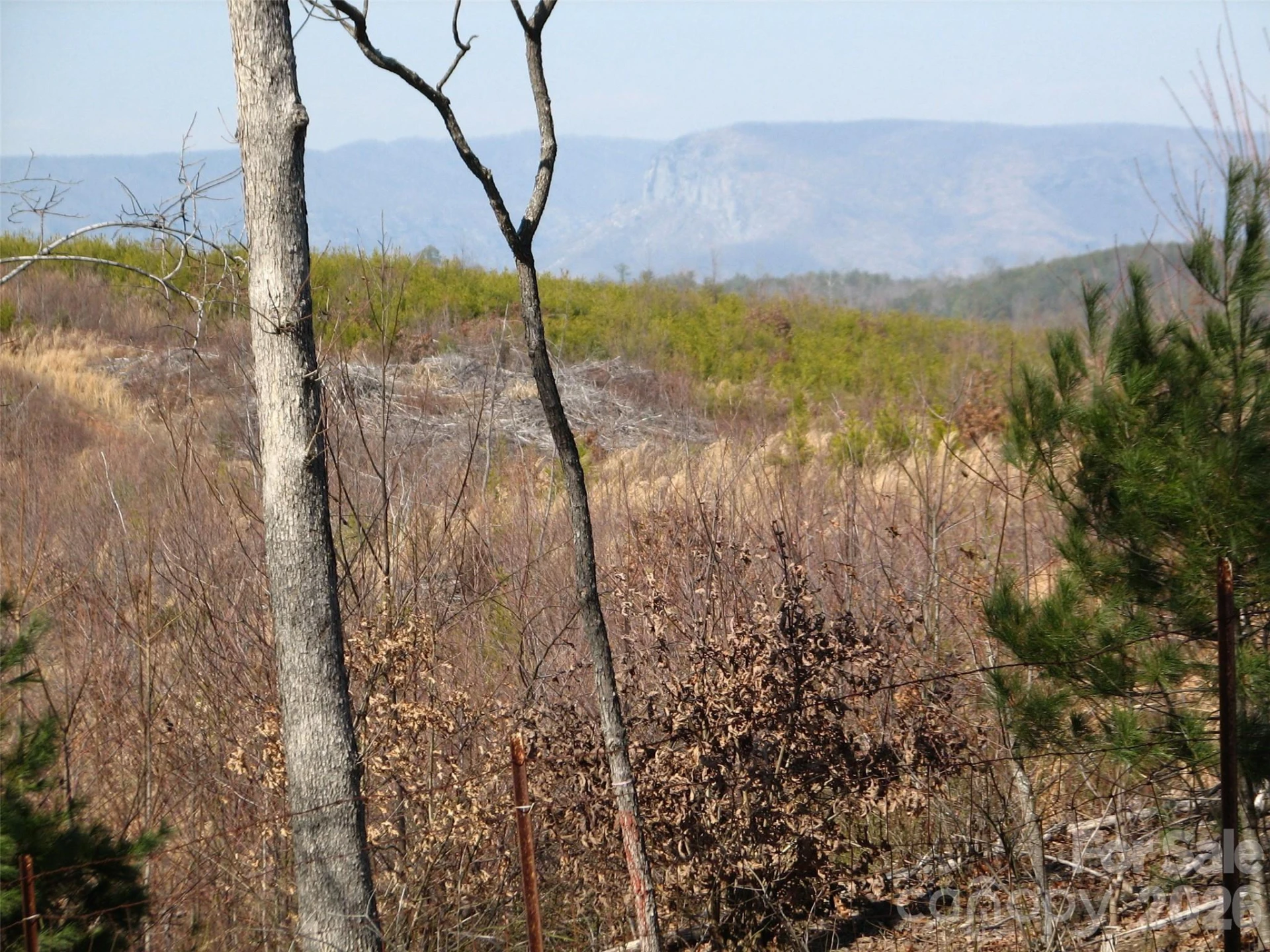 000 Meditation Ridge Ridge #21,22 - Photo 5