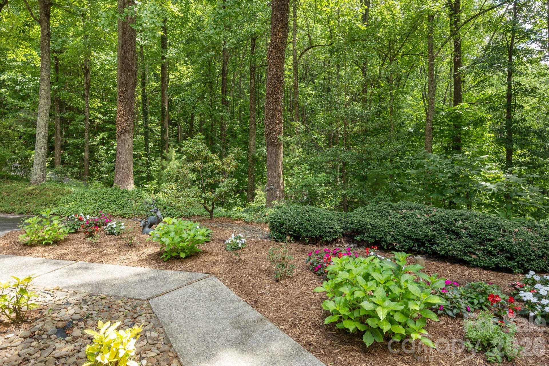 117 Tarnhill Drive - Photo 4