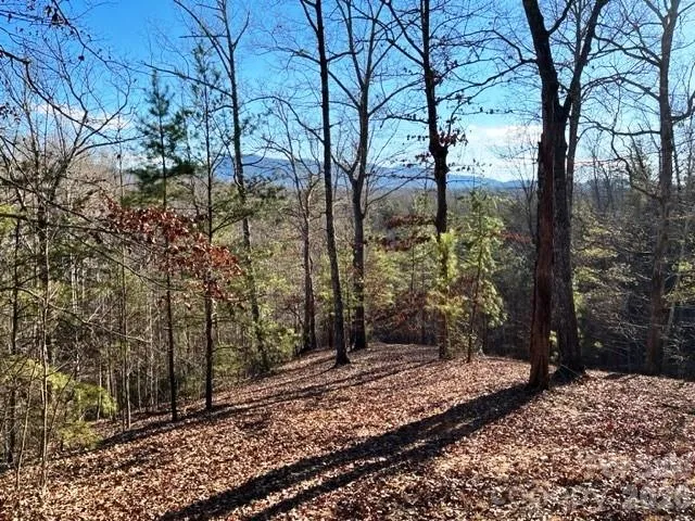 Lot 17-4 N Coast Drive, Mill Spring, NC, 28756