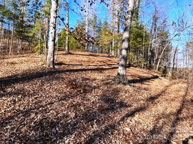 Lot 17-4 N Coast Drive - Photo 2
