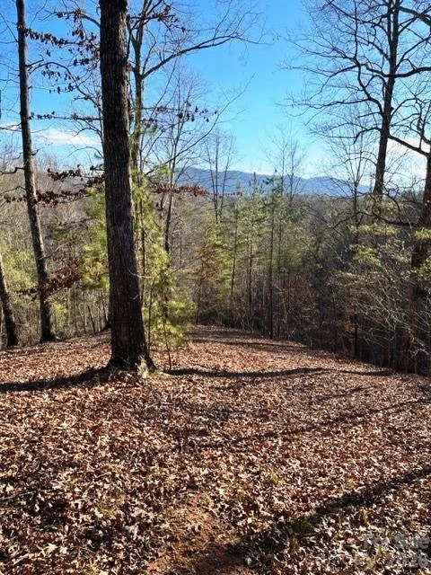 Lot 17-4 N Coast Drive - Photo 3
