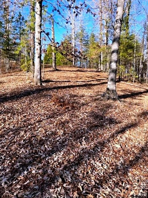 Lot 17-4 N Coast Drive - Photo 4