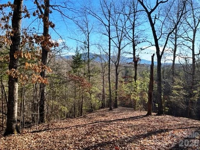 Lot 17-4 N Coast Drive - Photo 5