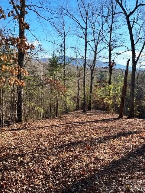Lot 17-4 N Coast Drive - Photo 6