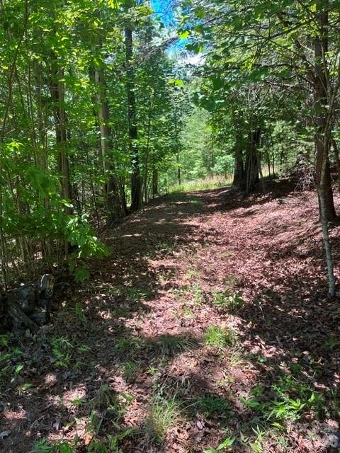 Lot 17-4 N Coast Drive - Photo 7