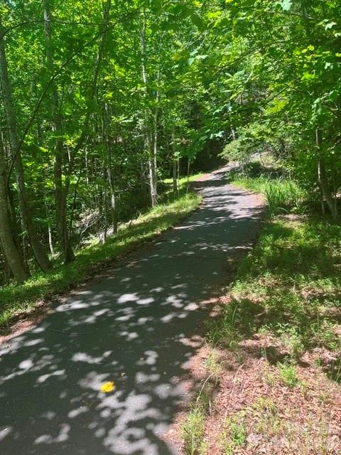 Lot 17-4 N Coast Drive - Photo 8