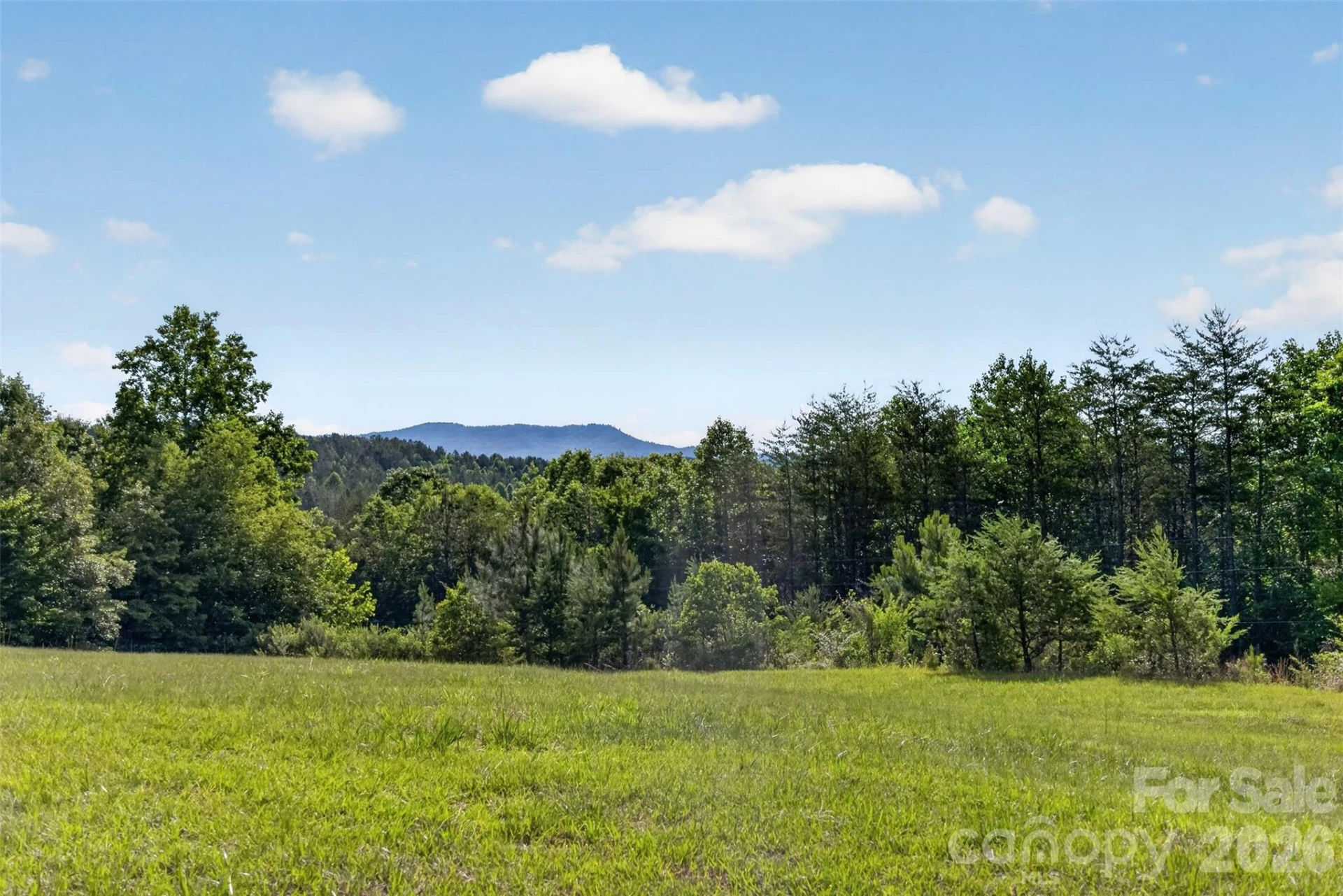 485 Frog Creek Road - Photo 15