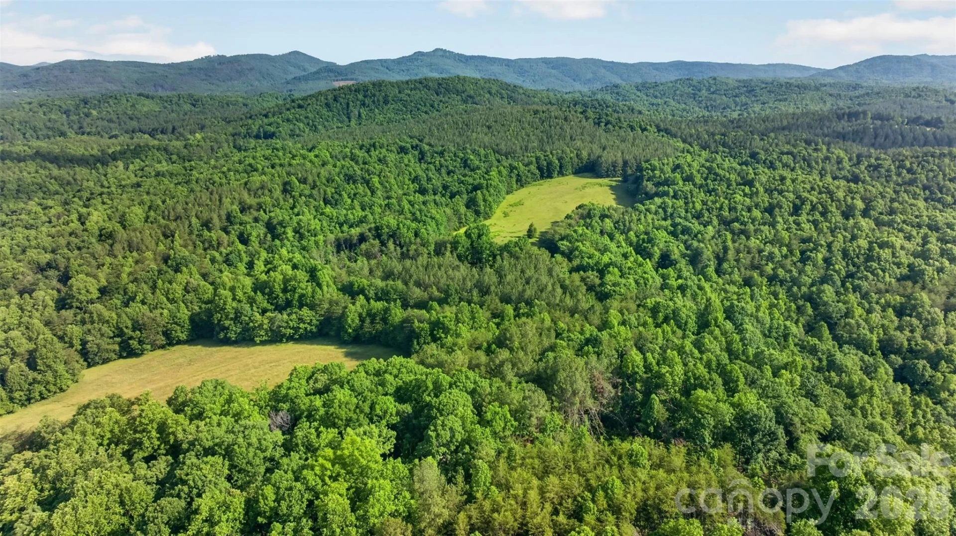 485 Frog Creek Road - Photo 7