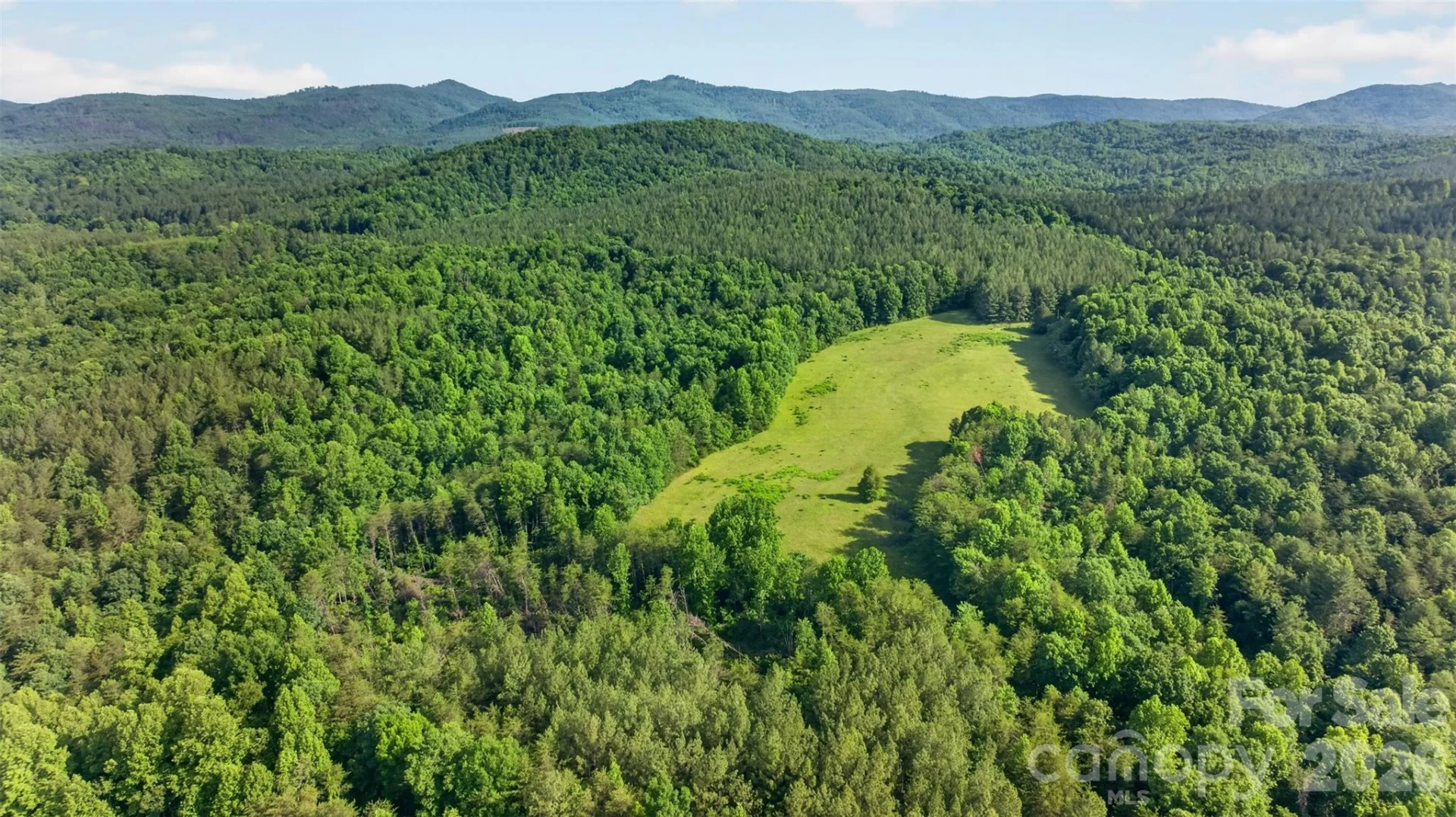 485 Frog Creek Road - Photo 8