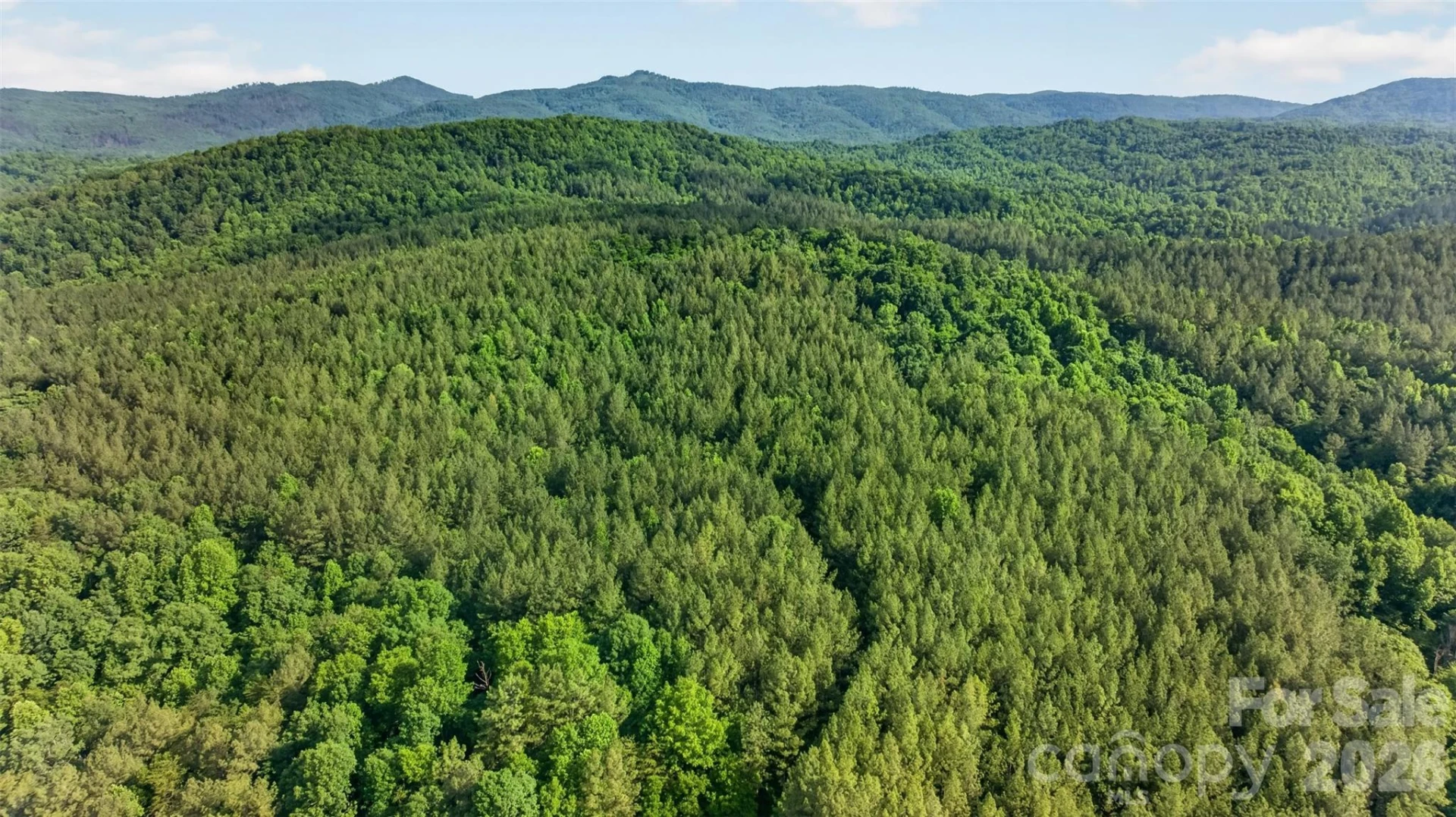 485 Frog Creek Road - Photo 2