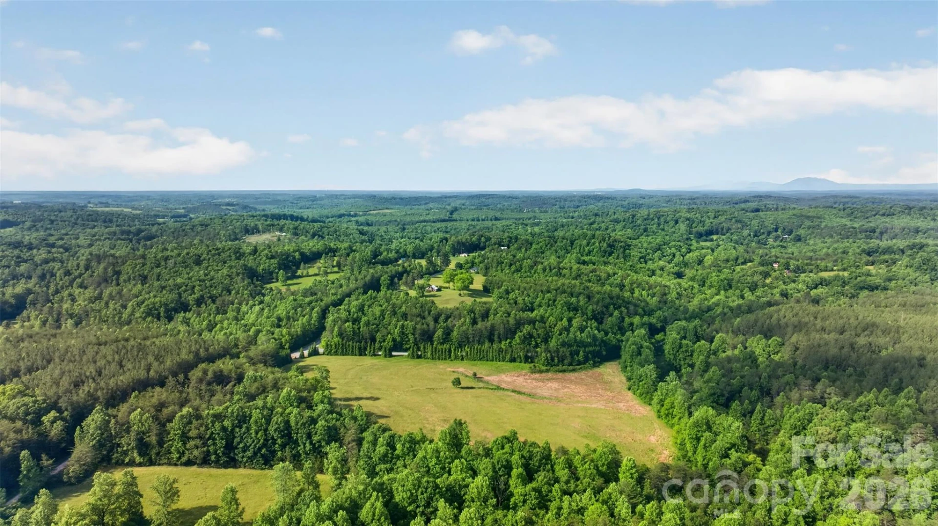485 Frog Creek Road - Photo 13