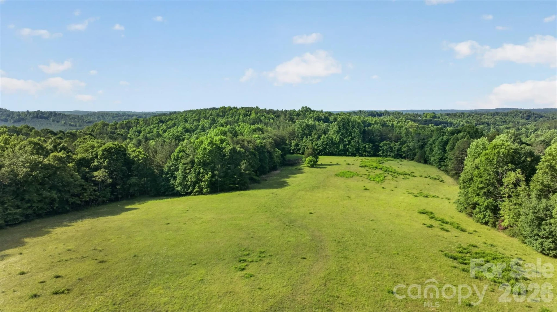 485 Frog Creek Road - Photo 14