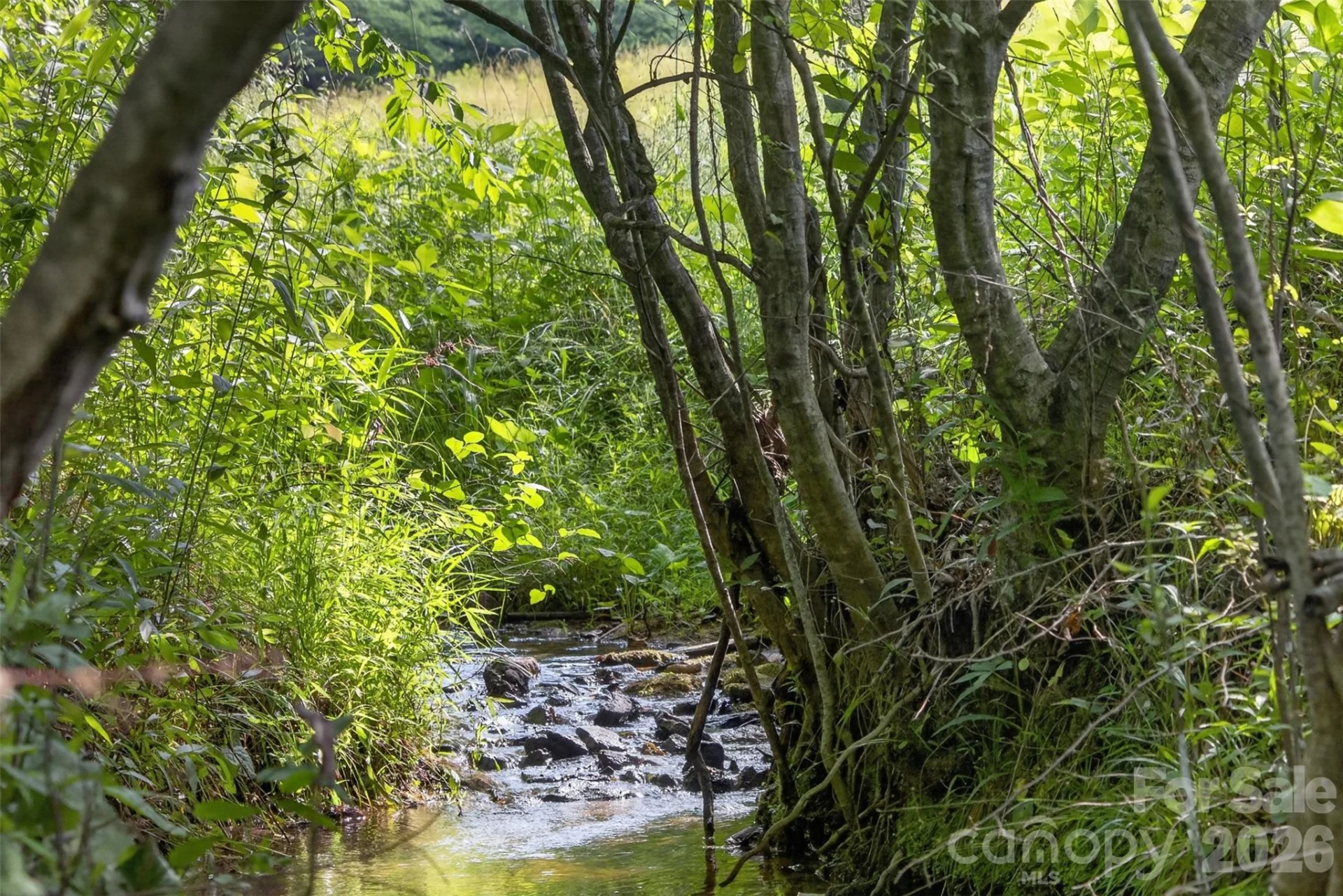 485 Frog Creek Road - Photo 17