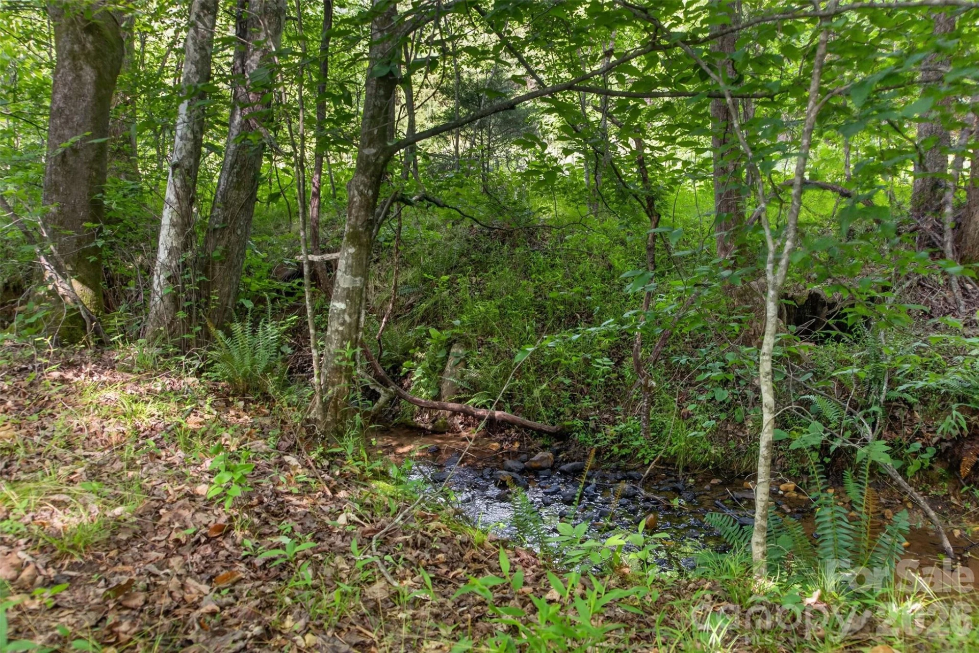 485 Frog Creek Road - Photo 18