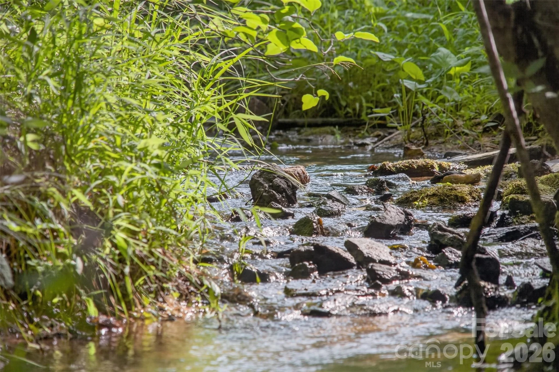 485 Frog Creek Road - Photo 20