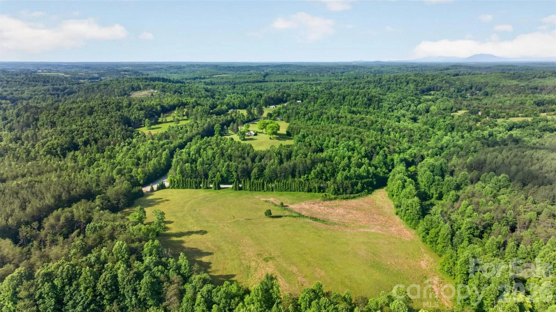 485 Frog Creek Road - Photo 4