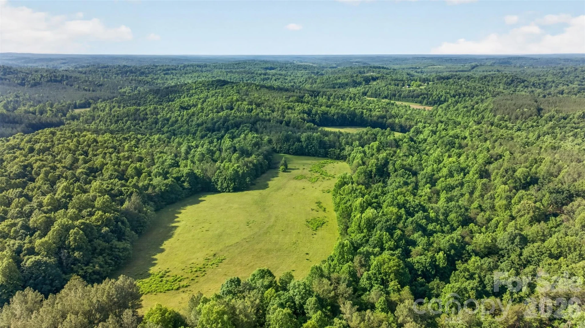 485 Frog Creek Road - Photo 5