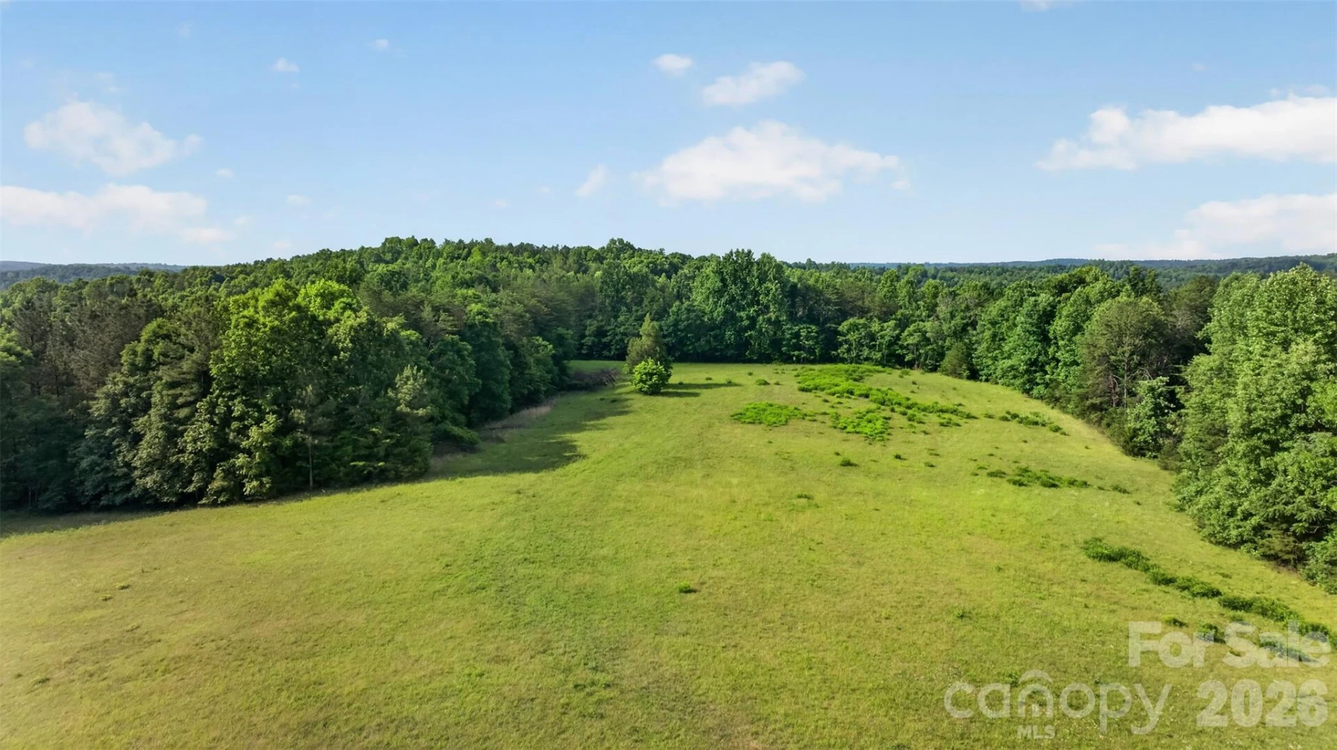 485 Frog Creek Road - Photo 9