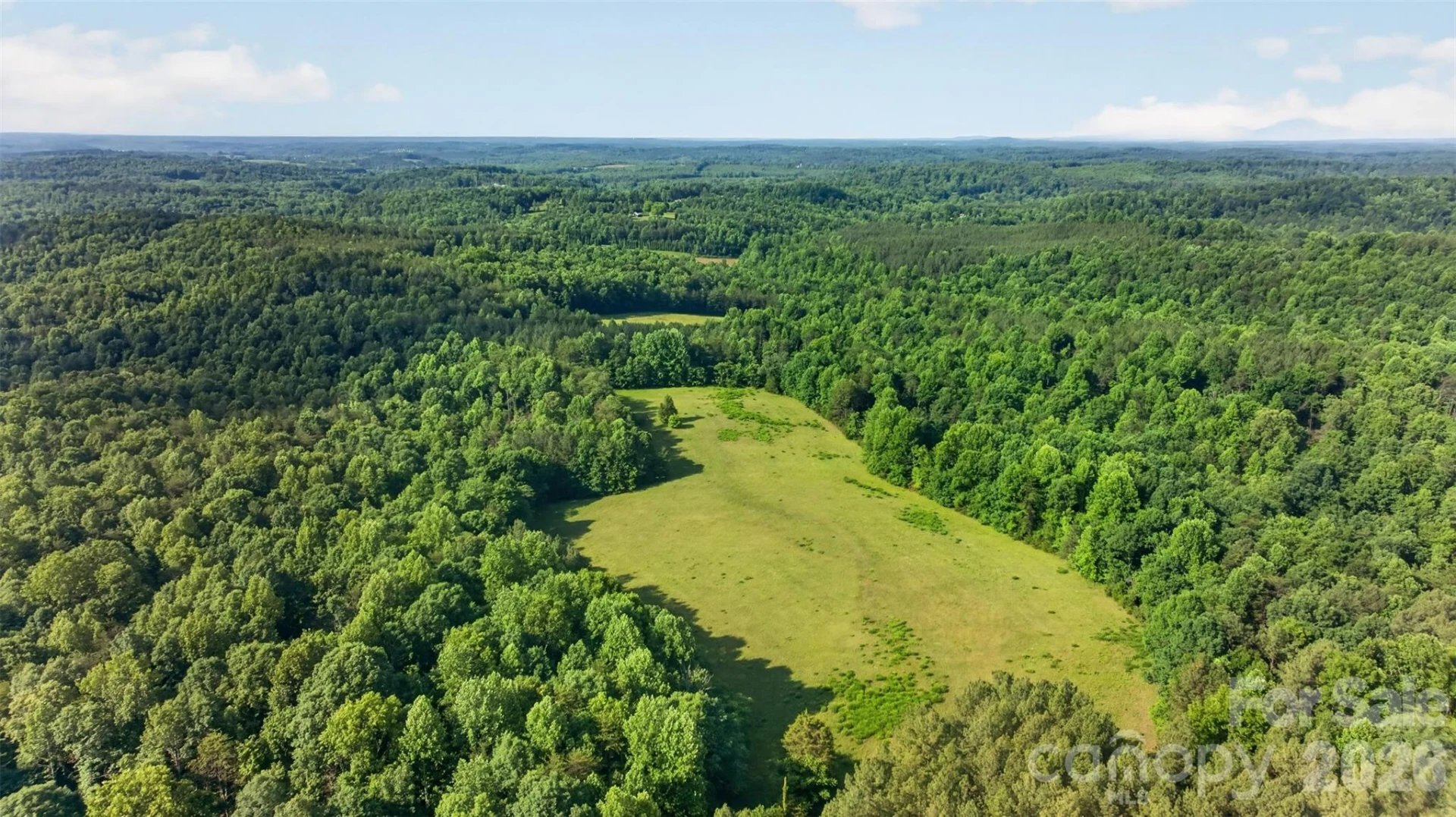 485 Frog Creek Road - Photo 10