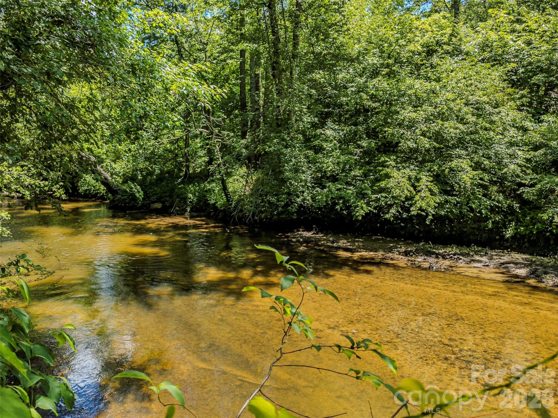 TBD Canebrake Road - Photo 11