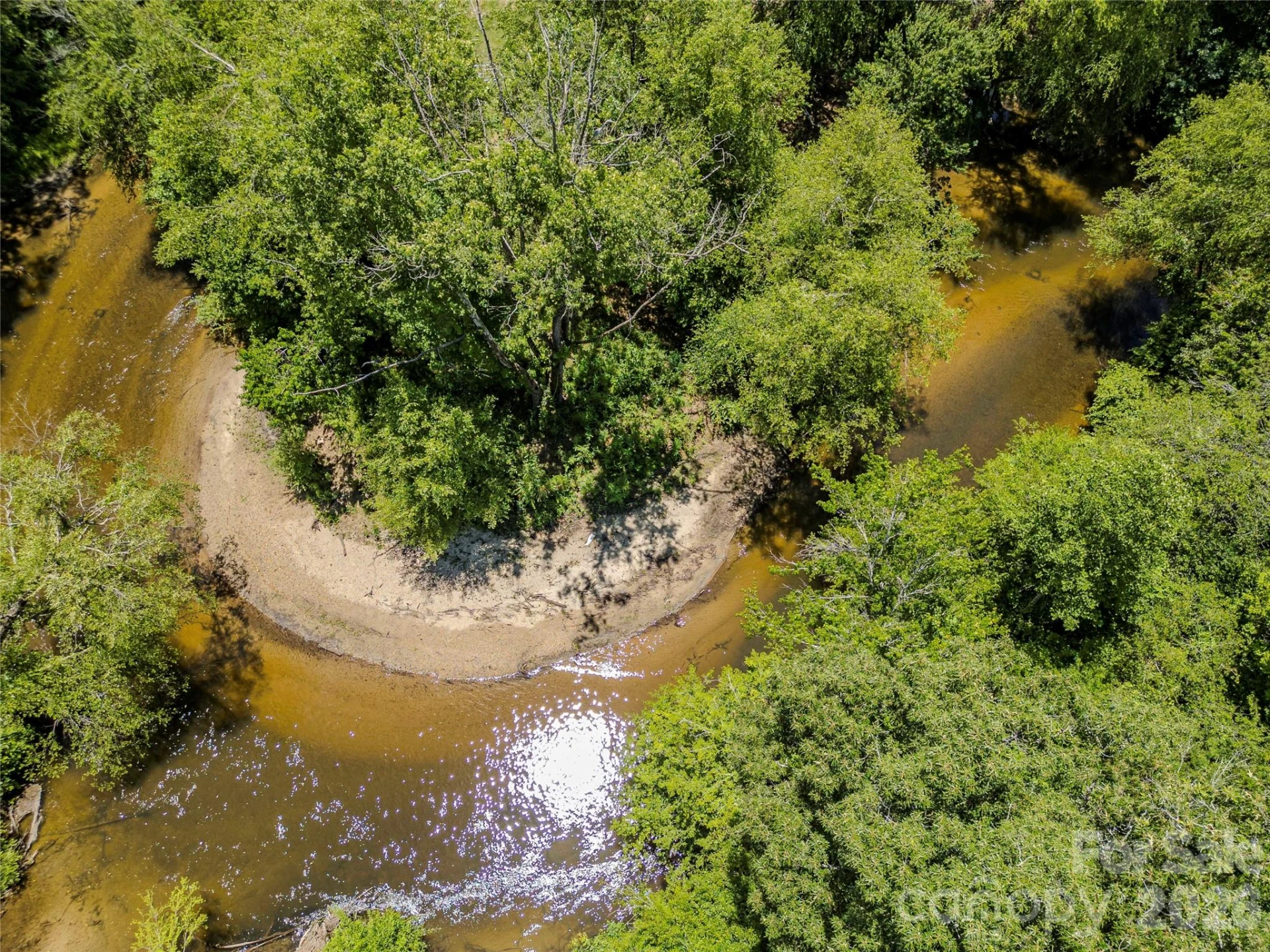 TBD Canebrake Road - Photo 13