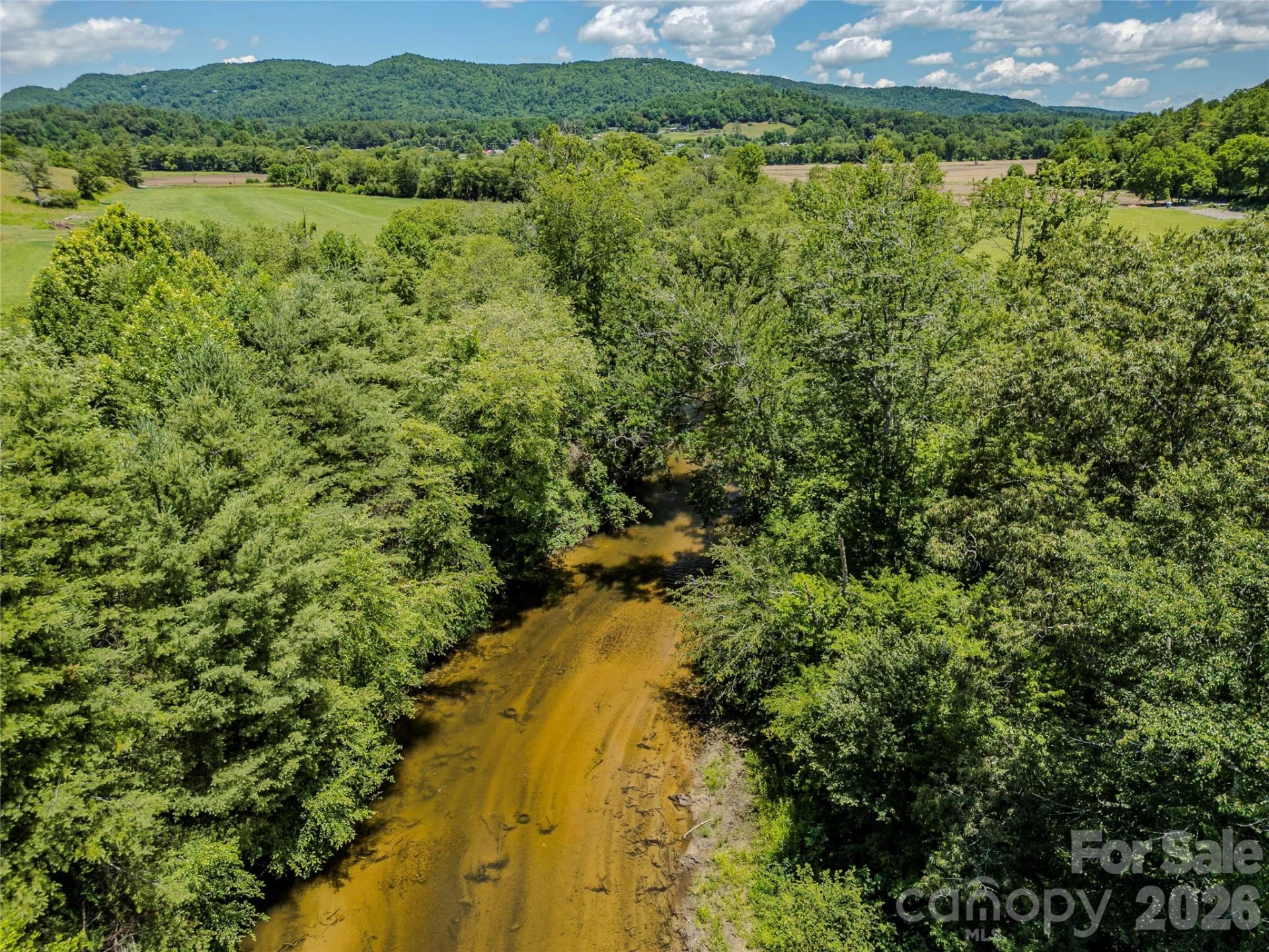 TBD Canebrake Road - Photo 14