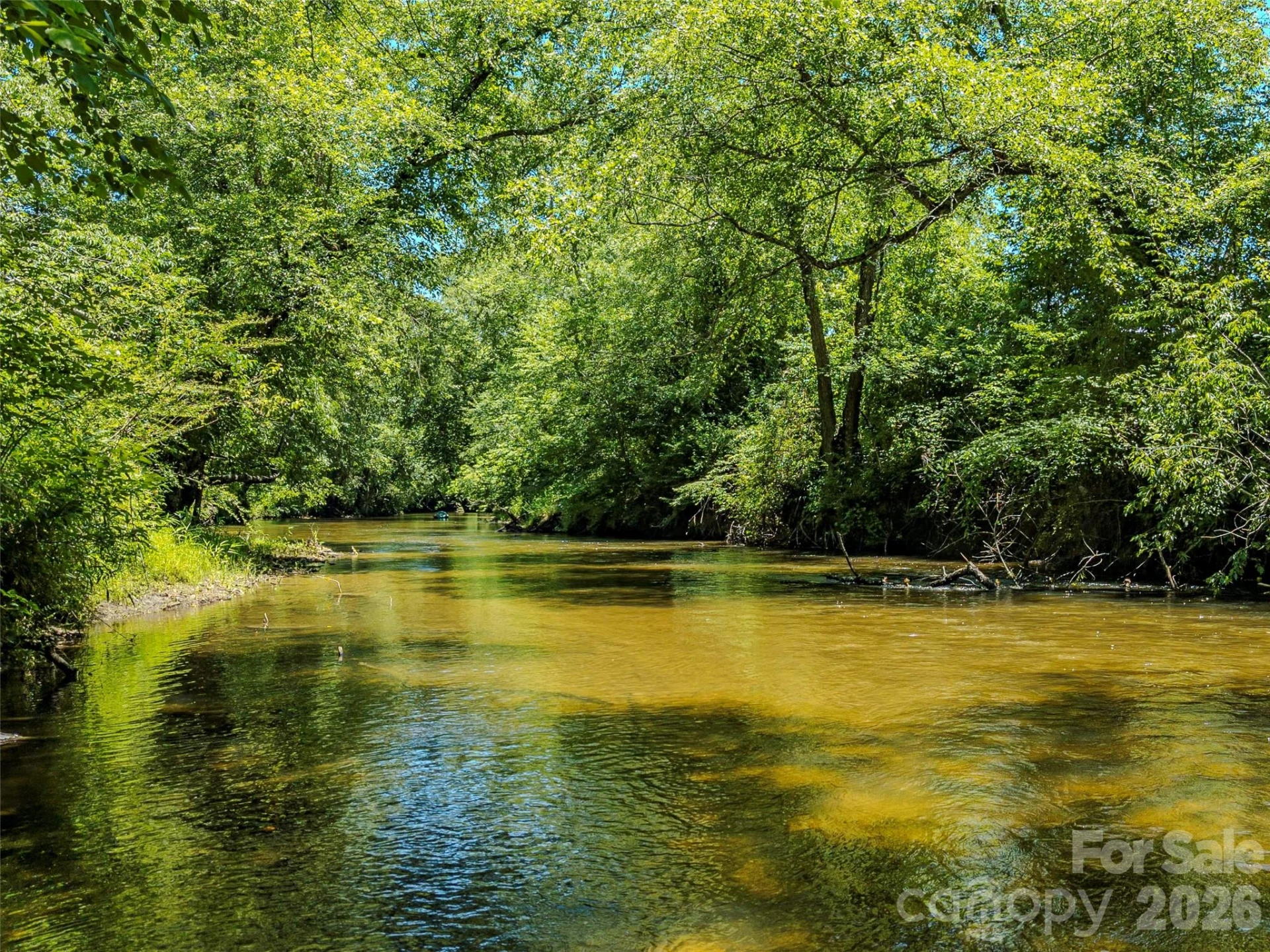 TBD Canebrake Road - Photo 15